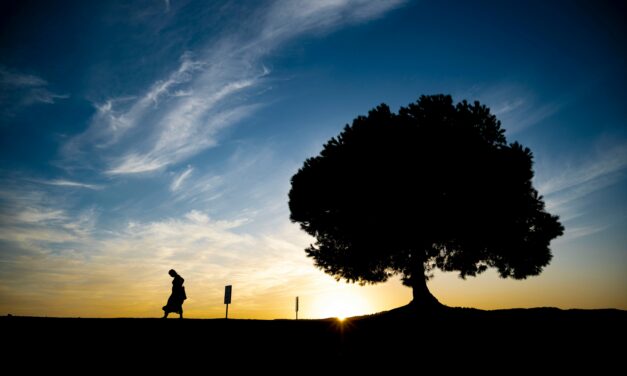 Duurzaam reizen in Europa: wat is het en hoe begin je?