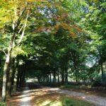 Meerdaagse Fietsroutes in Nederland: