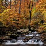 De Hexenstieg Wandelen: Gids, Etappes, Tips