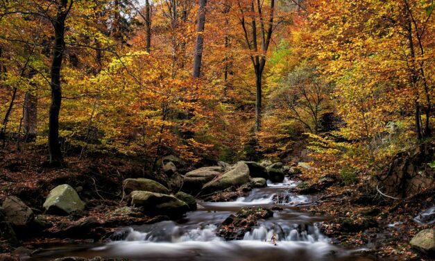 De Hexenstieg Wandelen: Gids, Etappes, Tips