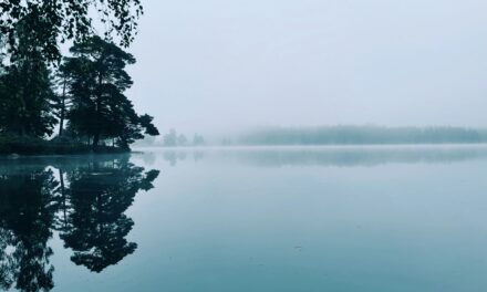 De Magie van de ‘Coolcation’: