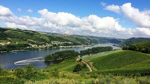 Rijn Burcht route wandelen waar de natuur en de rivier samengaan